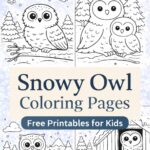 Snowy owl coloring pages with cute winter owl designs, free printable for kids