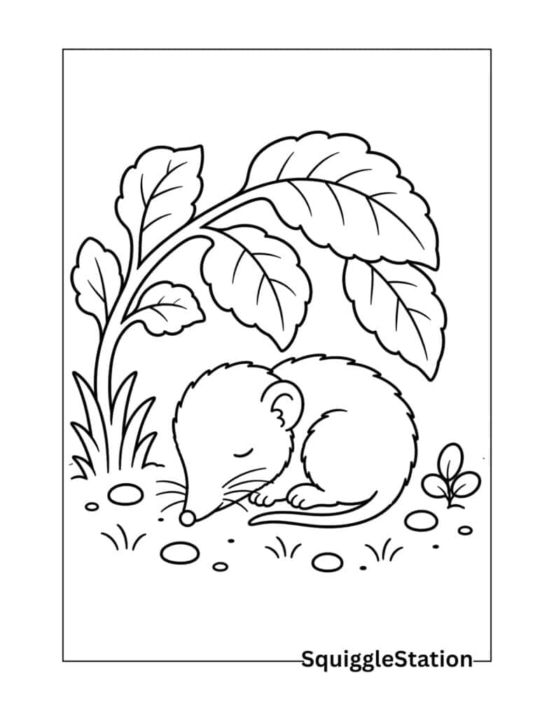 Cute Shrew Coloring Pages (Free Printable PDFs for Kids) 6 Sleeping baby shrew coloring page printable.