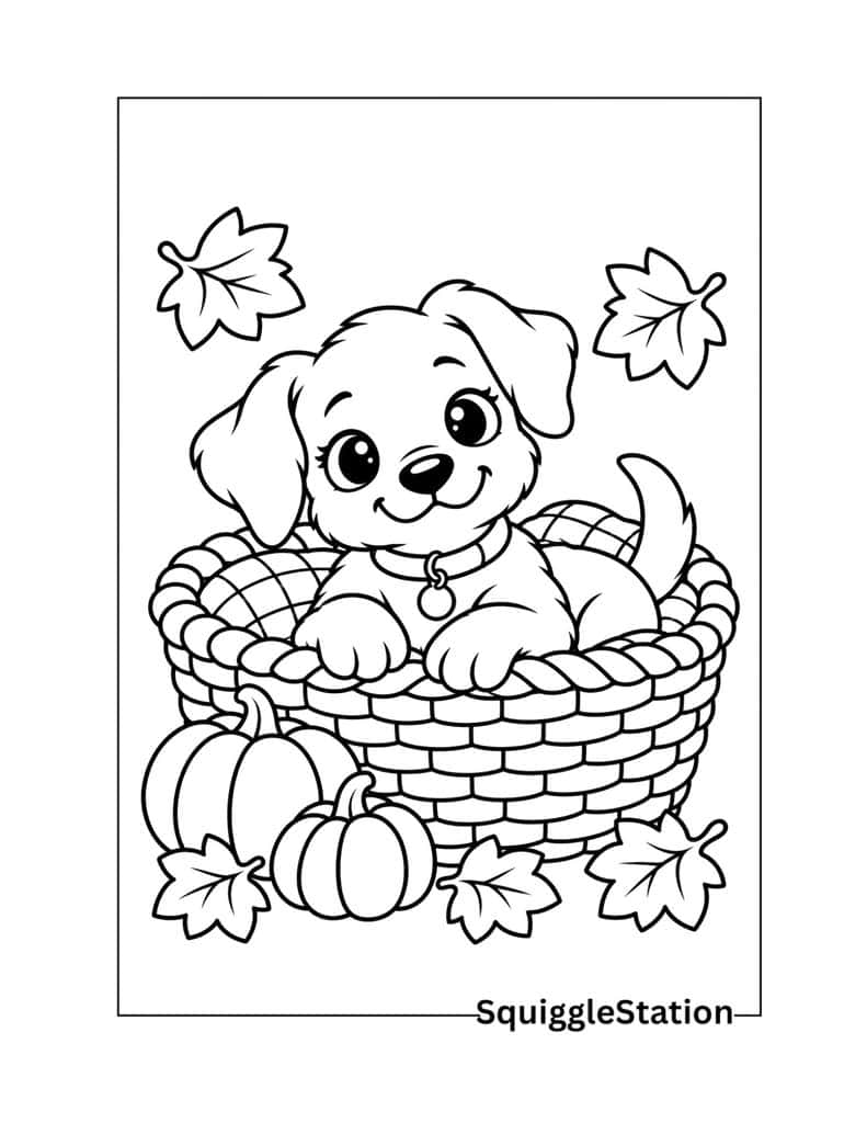 Baby puppy Thanksgiving coloring page featuring a tiny puppy curled up in a basket with a few fall leaves.